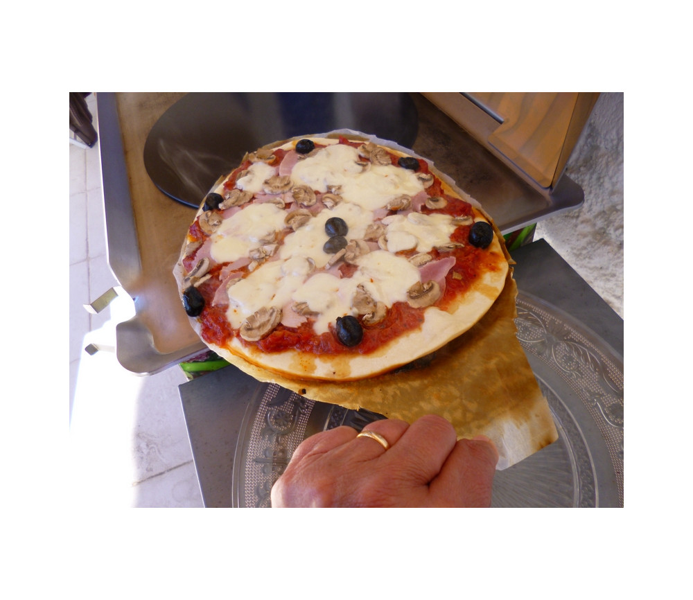 Plaque à Pizza pour Plancha Cuisinez Comme un Chef avec Planchaelec