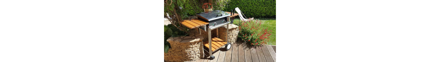 Comment Utiliser une Plancha Électrique Inox Planchaelec ?