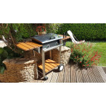 Comment Utiliser une Plancha Électrique Inox Planchaelec ?